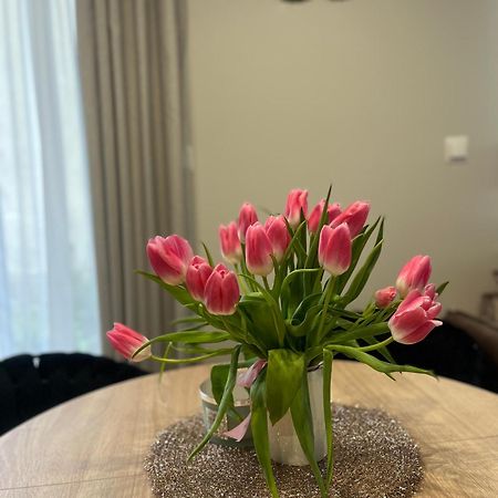 Apartament Kaszmirowy Bielsko-Biala Luaran gambar