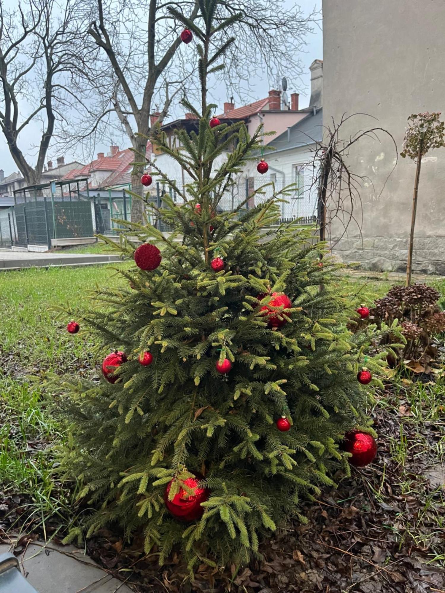 Apartament Kaszmirowy Bielsko-Biala Luaran gambar