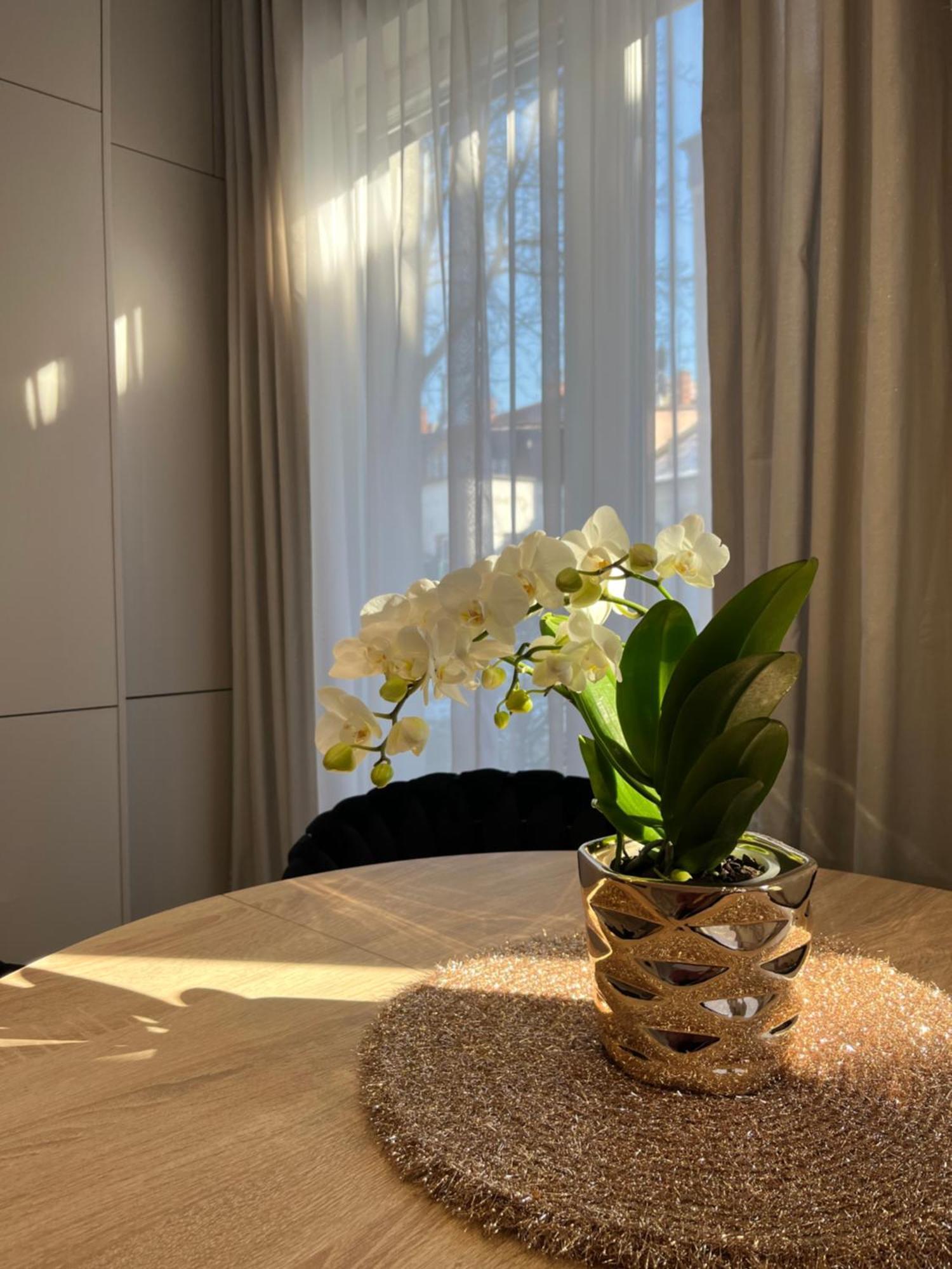 Apartament Kaszmirowy Bielsko-Biala Luaran gambar
