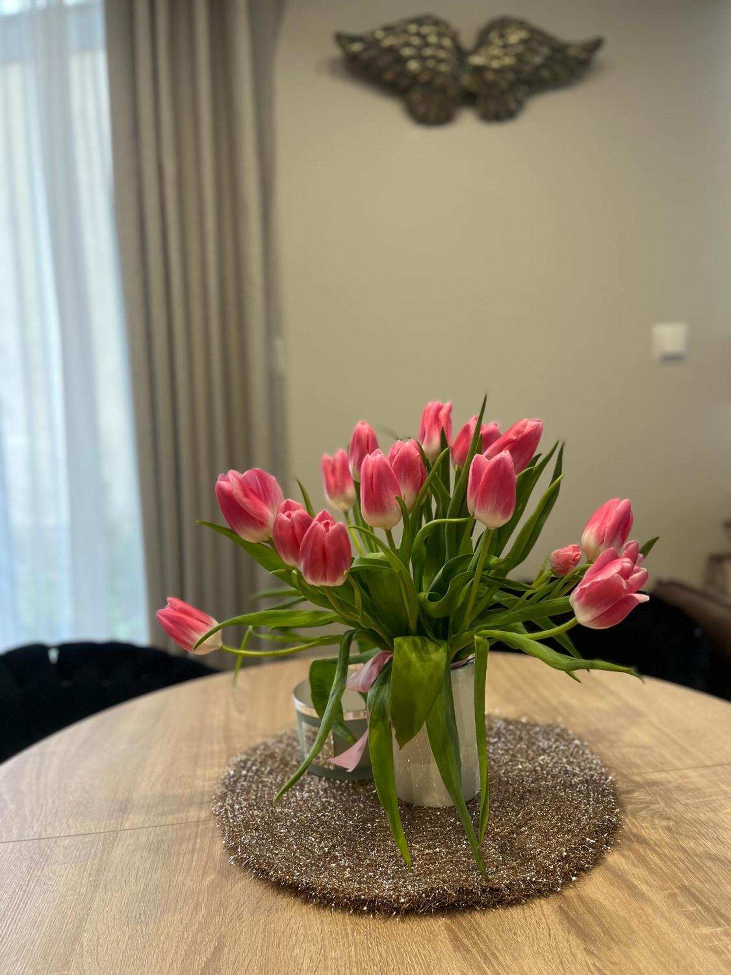 Apartament Kaszmirowy Bielsko-Biala Luaran gambar